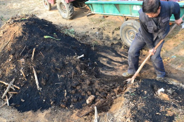 玉米怎么施肥能高产,基肥主要以农家肥为主