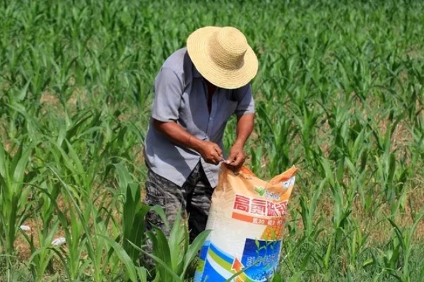 玉米怎么施肥能高产,基肥主要以农家肥为主