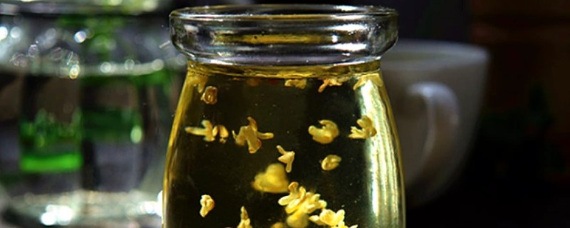 桂花酒如何制作,尽可能采摘新鲜的桂花