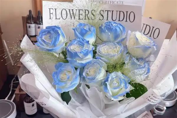 碎冰蓝玫瑰的花语，寓意沉默的爱、无价之宝等