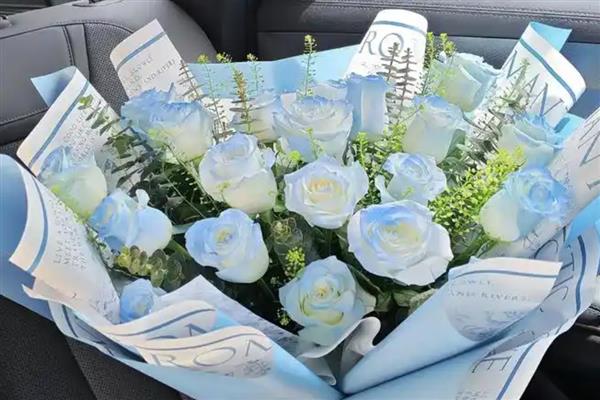 碎冰蓝玫瑰的花语，寓意沉默的爱、无价之宝等