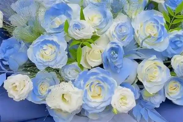 碎冰蓝玫瑰的花语，寓意沉默的爱、无价之宝等