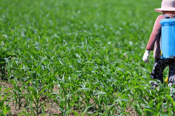 农作物用了激素土壤受到破坏怎么处理，要采取生物修复