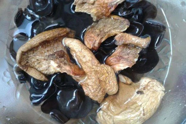 黑马鞍菌的保鲜方法，可冷藏保鲜、辐射保鲜等