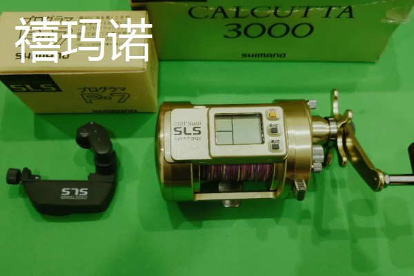 筏钓轮推荐品牌，迪佳、达亿瓦等品牌值得选择