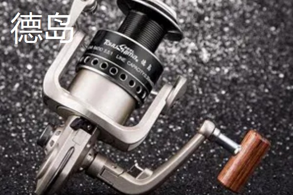 筏钓轮推荐品牌，迪佳、达亿瓦等品牌值得选择