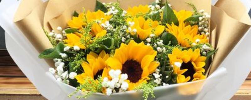 9支向日葵的寓意,寓意永远的等待、永久的守护等