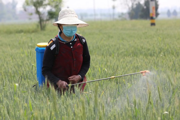 麦田除草剂喷施温度,最低施药温度不可低于5°C