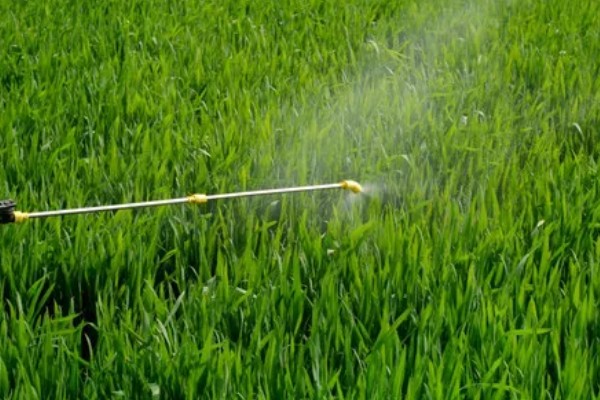 麦田除草剂喷施温度,最低施药温度不可低于5°C