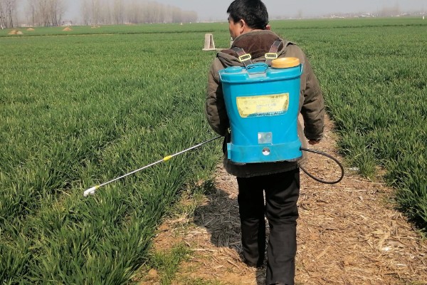 麦田除草剂喷施温度,最低施药温度不可低于5°C