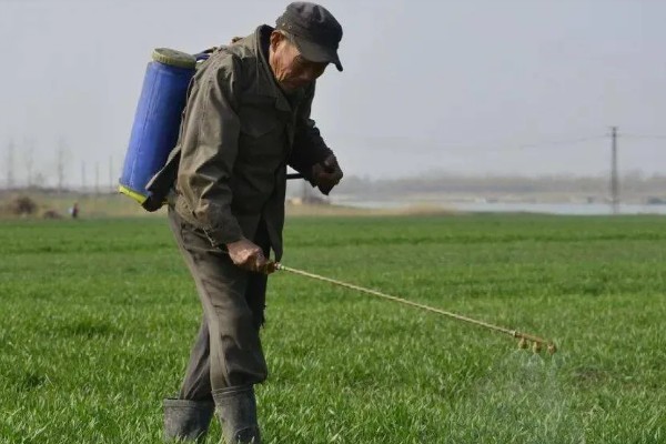 麦田除草剂喷施温度,最低施药温度不可低于5°C