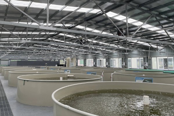 北方适合养什么水产，扇贝、泥鳅等品种值得选择