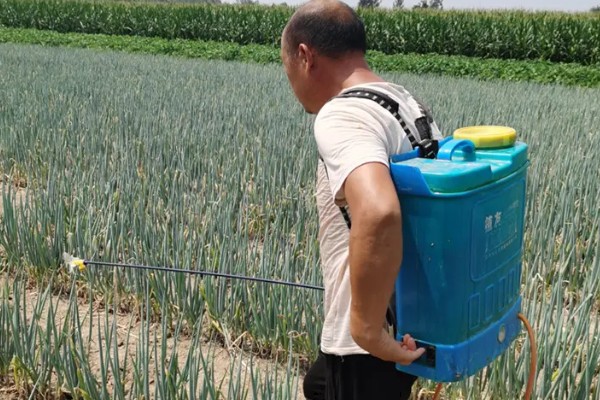 大葱的培土方法，长到30厘米左右可进行培土