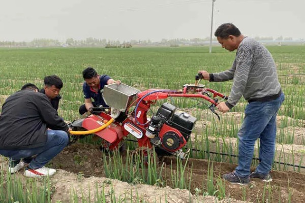 大葱的培土方法，长到30厘米左右可进行培土