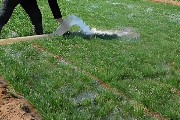 徐麦33和徐麦35的区别是什么，生长周期和特征均不同