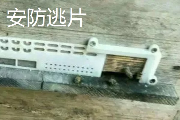 为什么蜂群中要有蜂王,只有蜂王产的卵能培育出新工蜂