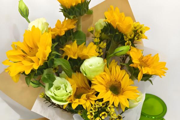 9支向日葵的寓意,寓意永远的等待、永久的守护等