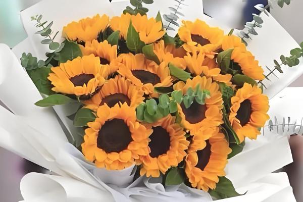 9支向日葵的寓意,寓意永远的等待、永久的守护等