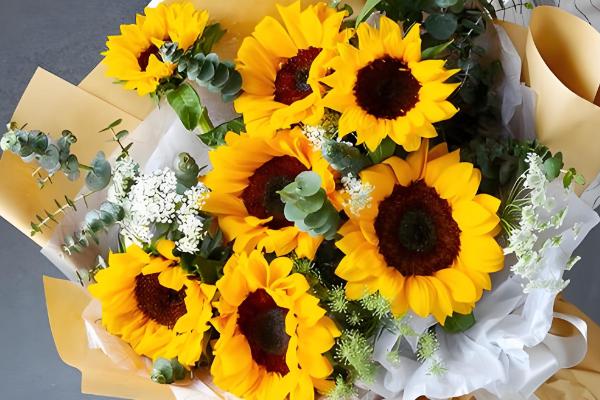 9支向日葵的寓意,寓意永远的等待、永久的守护等