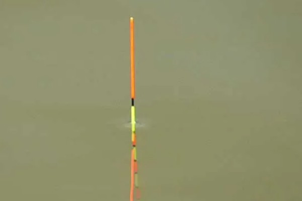 春天钓鲫鱼的技巧,早春要像冬季一样钓远、钓深