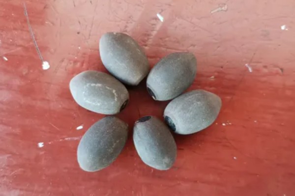 水培荷花的种植方式，使用直径较大的容器进行养护