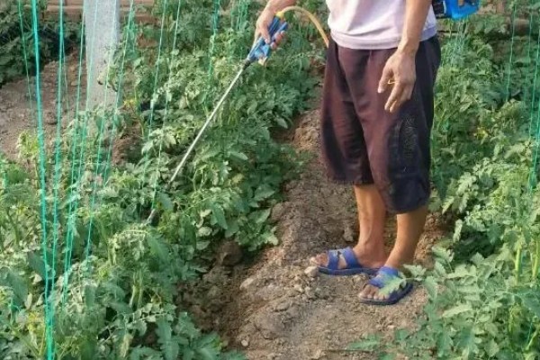 露娜森杀菌剂怎么使用,根据防治对象决定药物用量