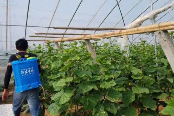 露娜森杀菌剂怎么使用,根据防治对象决定药物用量