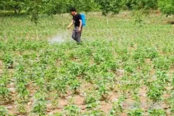 露娜森杀菌剂怎么使用,根据防治对象决定药物用量