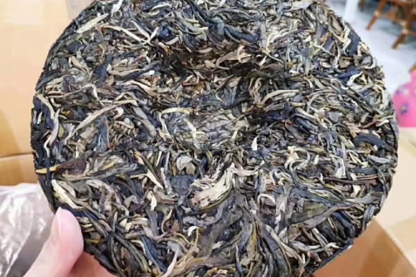 生普是哪种茶，属于后发酵茶