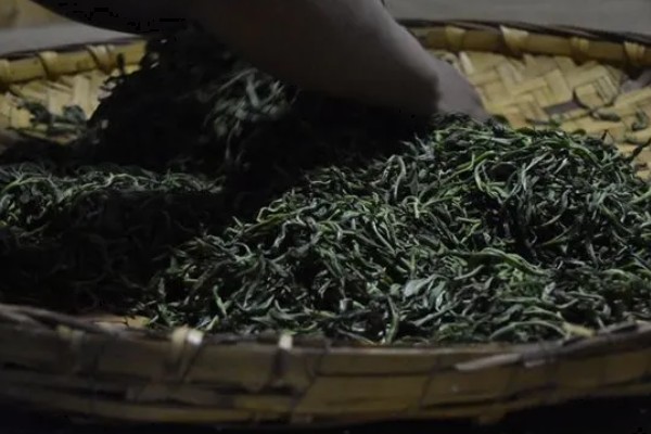 生普是哪种茶，属于后发酵茶