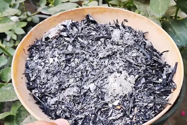 虫眼越多的菜更安全吗,与是否打过农药没有关系