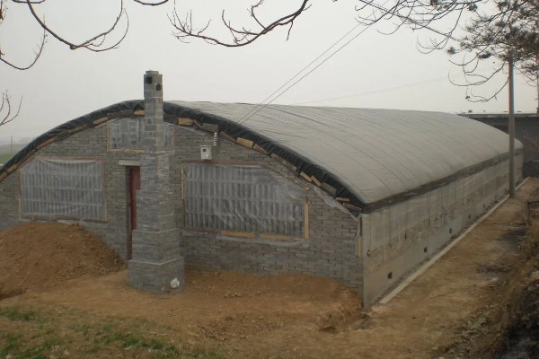 养羊大棚如何建设,需要使用枝条制作棚顶