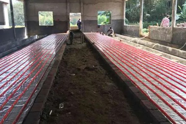 养羊大棚如何建设,需要使用枝条制作棚顶