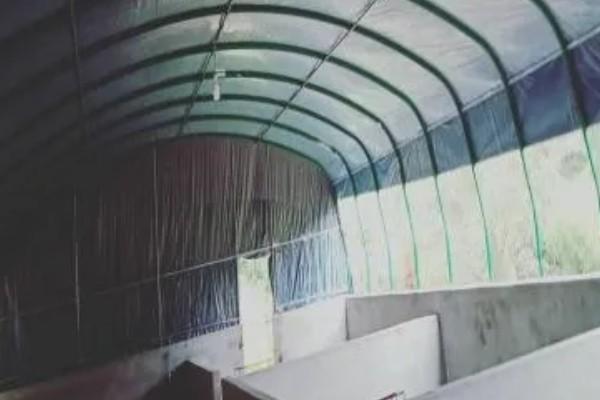 养羊大棚如何建设,需要使用枝条制作棚顶