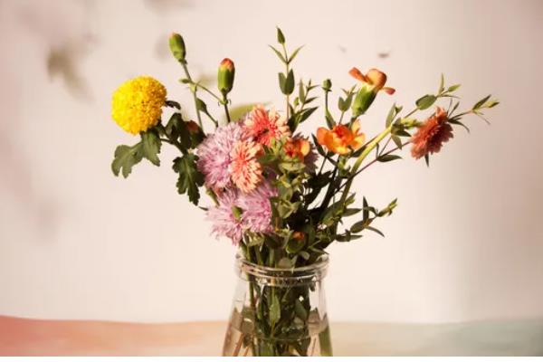 乔迁之喜送什么花，推荐鸿运当头、红掌等