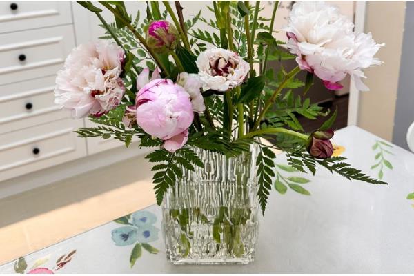 乔迁之喜送什么花，推荐鸿运当头、红掌等