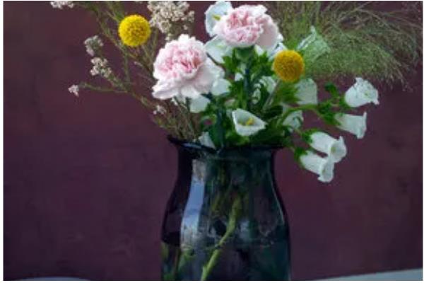 乔迁之喜送什么花，推荐鸿运当头、红掌等