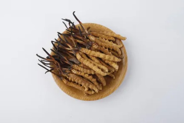 冬虫夏草的重量，一级虫草一克为2条