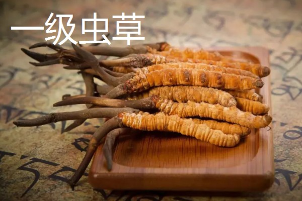 冬虫夏草的重量，一级虫草一克为2条