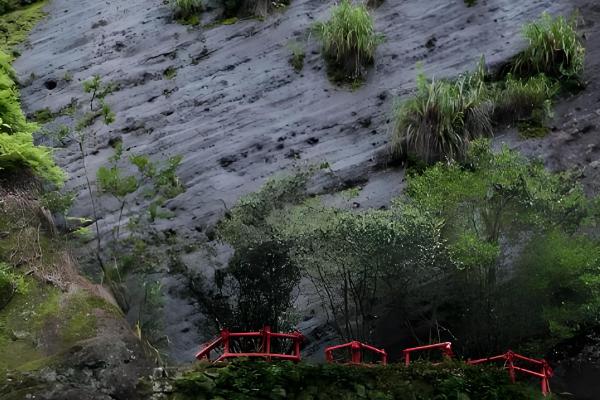 大红袍属于什么茶，属于乌龙茶