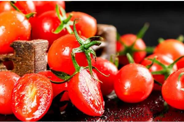 圣女果简介，是常见的一种番茄