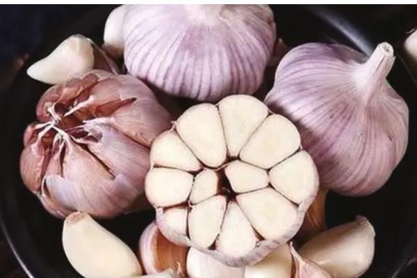 紫皮大蒜退化的原因，肥料不足、种植密度过大均会导致