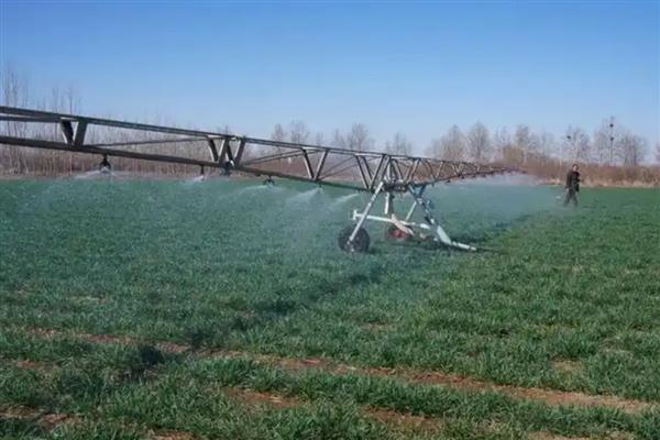 冬小麦怎样进行追肥，追肥通常以氮肥为主