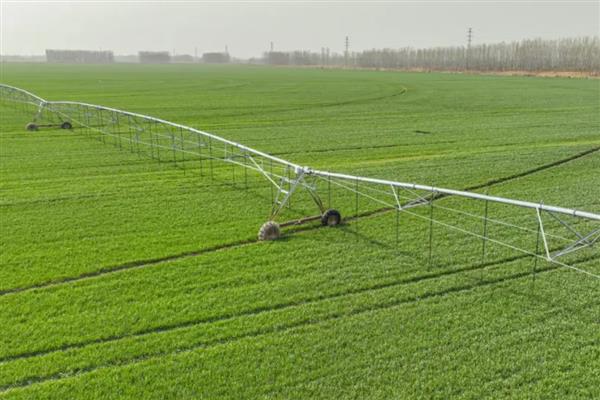 冬小麦怎样进行追肥，追肥通常以氮肥为主