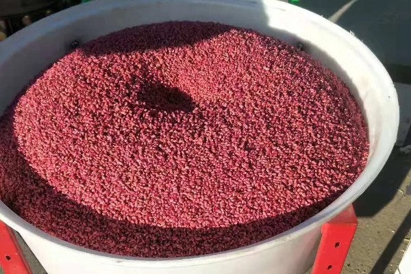 小麦拌种剂到底怎么选，不同地区选择不同的拌种剂