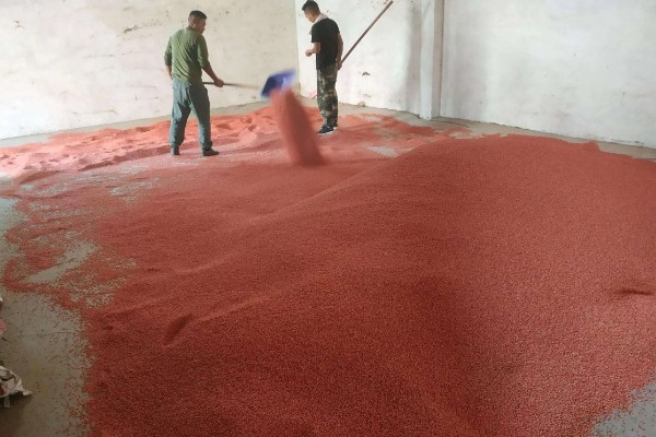 小麦拌种剂到底怎么选，不同地区选择不同的拌种剂