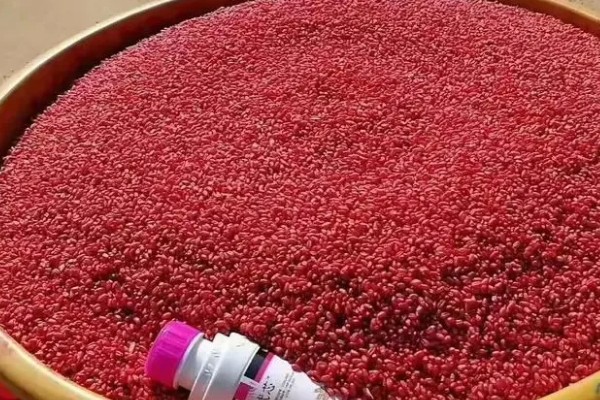 小麦拌种剂到底怎么选，不同地区选择不同的拌种剂