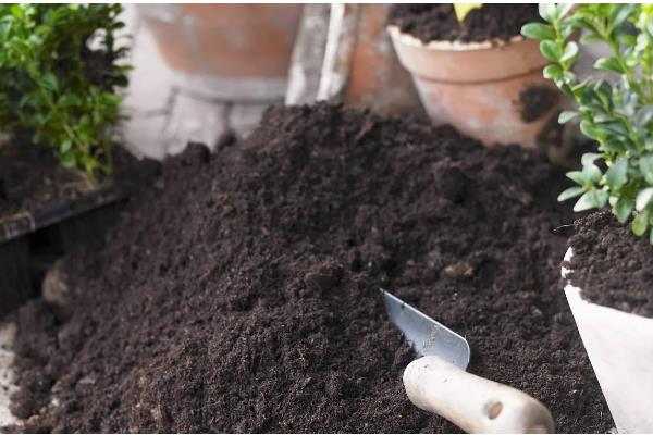 花土板结硬化如何处理，掺入粗砂和珍珠岩会变得疏松