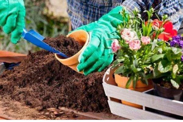 花土板结硬化如何处理，掺入粗砂和珍珠岩会变得疏松