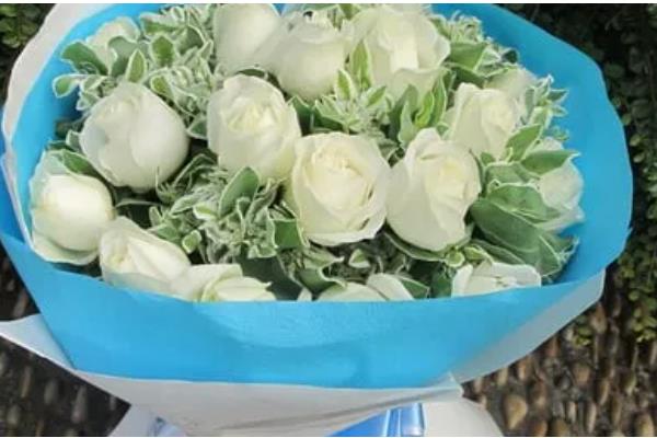 枯萎的白玫瑰寓意是什么,寓意是相伴一生、至死不渝等